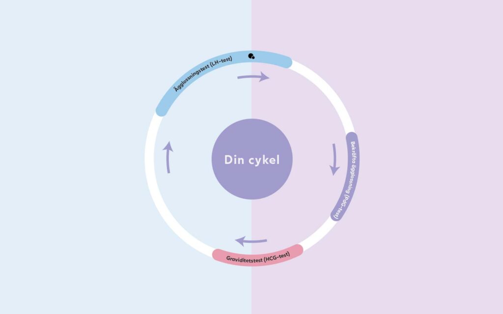 Cykel oversigt